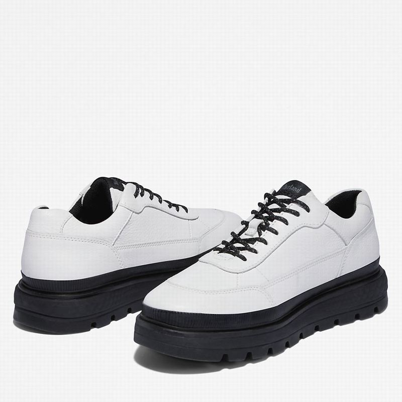 Timberland Ray City Oxfordice Bijele | 64098788