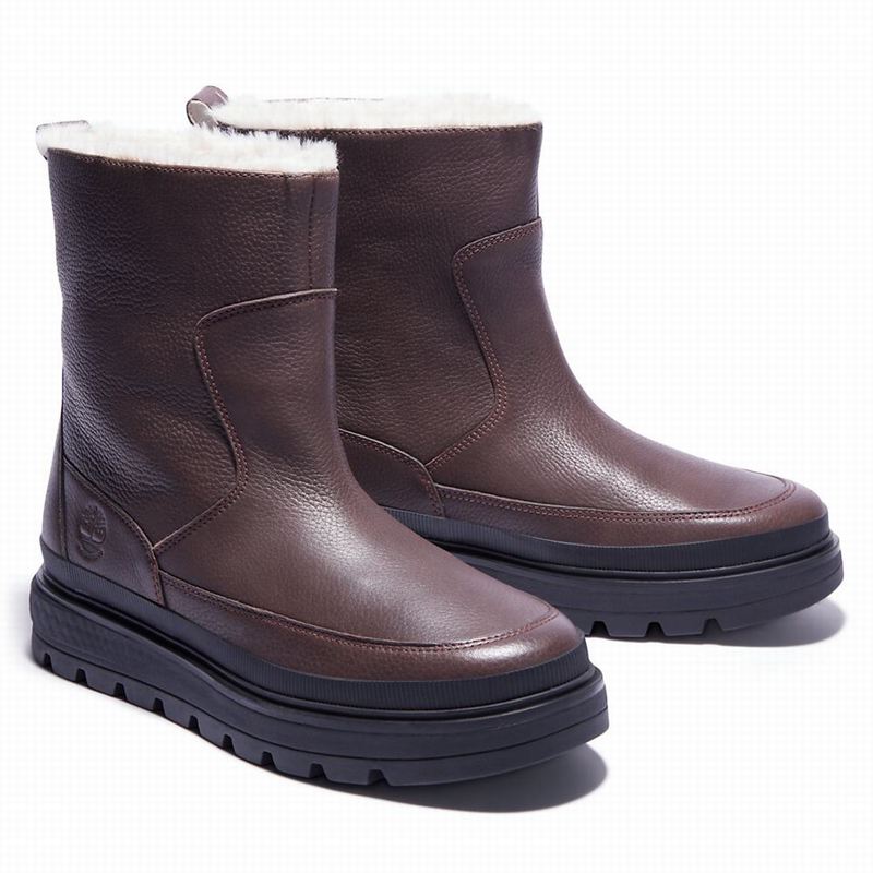 Timberland Ray City Warm-lined Čizme Smeđe | 94806663