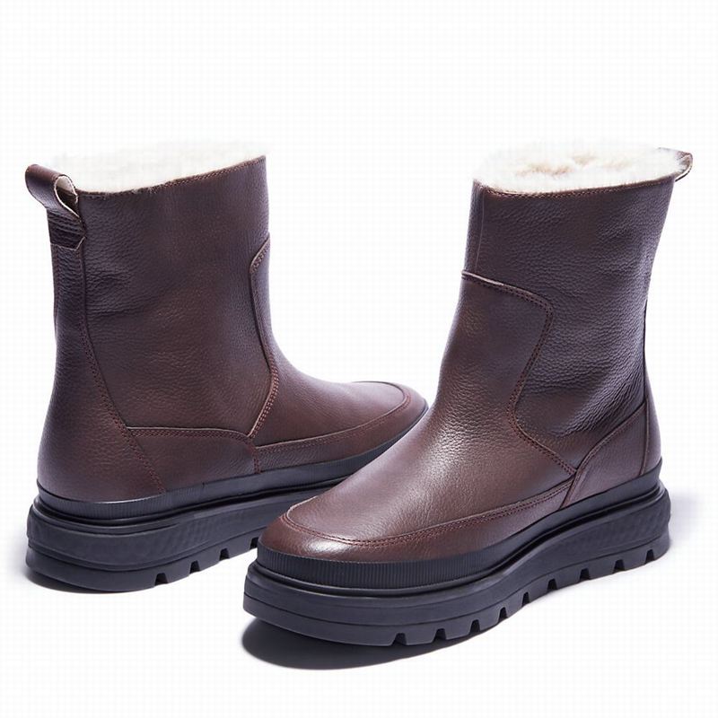 Timberland Ray City Warm-lined Čizme Smeđe | 94806663