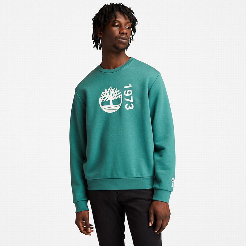 Timberland Re-Comfort EK+ Dukserice Maslinasto Zelene | 15600309