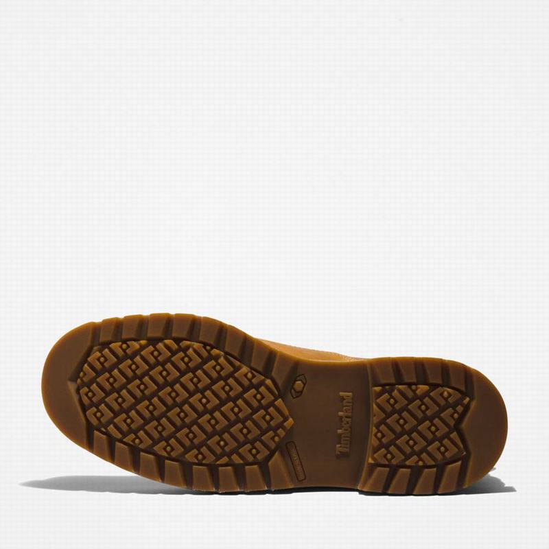 Timberland Redwood Falls Waterproof Chukka Čizme Smeđe | 31737821