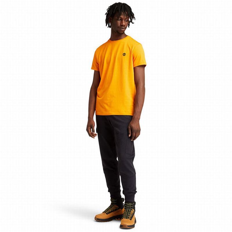 Timberland RefibraGraphic Majice Narančaste | 12848066