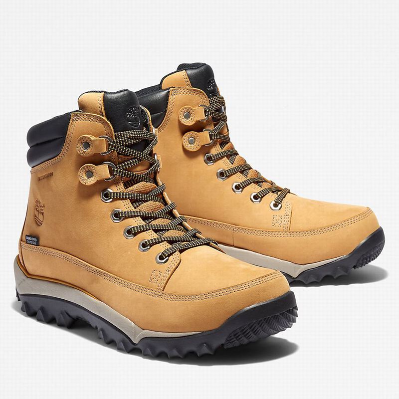 Timberland Rime Ridge Mid Čizme Žute | 17887961