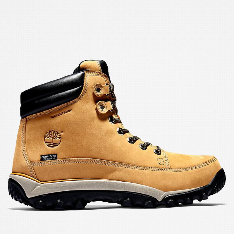 Timberland Rime Ridge Mid Čizme Žute | 17887961