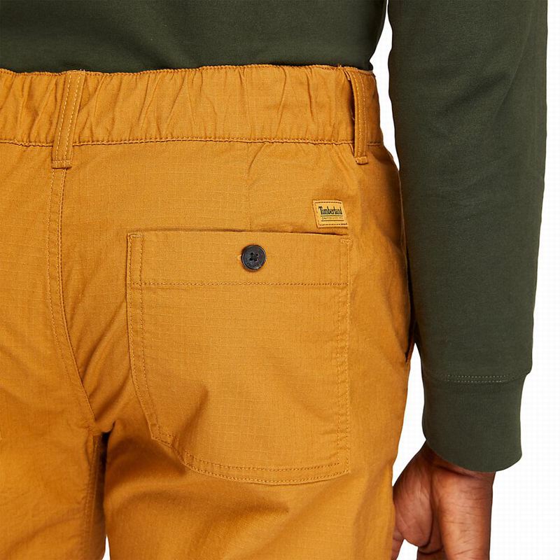 Timberland Ripstop Climbing Hlače Žute | 6965859