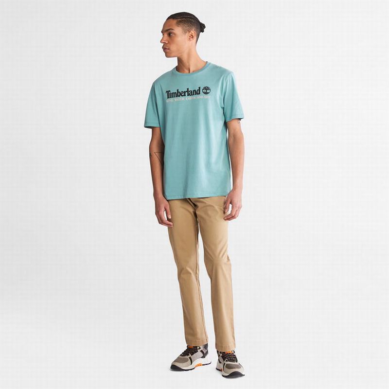 Timberland Sargent Lake Chino Hlače Kaki Boja | 62901191