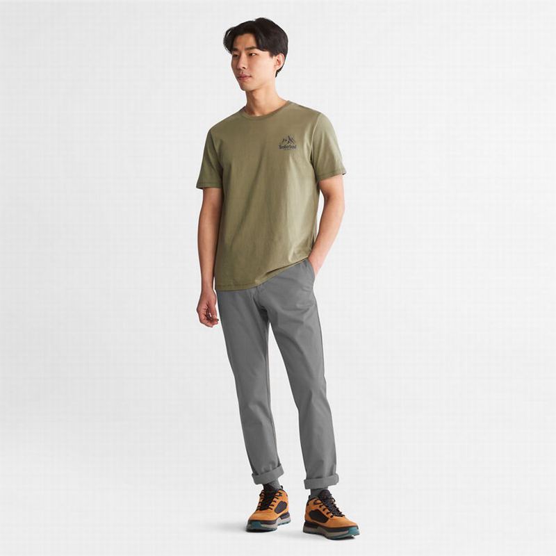 Timberland Sargent Lake Chino Hlače Sive | 70588327
