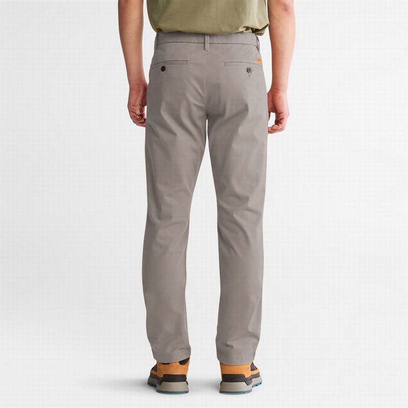 Timberland Sargent Lake Stretch Chino Hlače Sive | 68881126