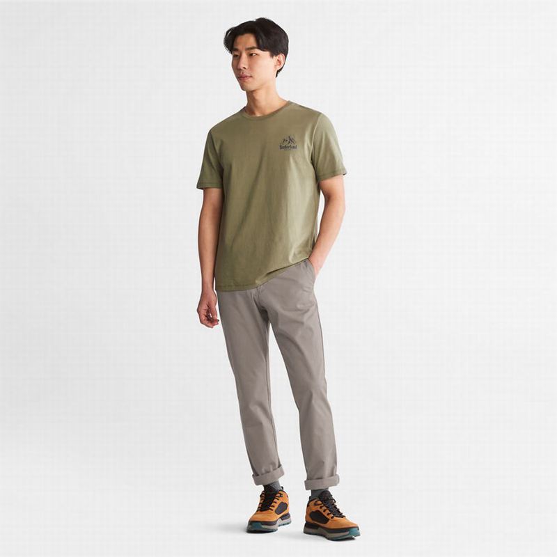 Timberland Sargent Lake Stretch Chino Hlače Sive | 68881126
