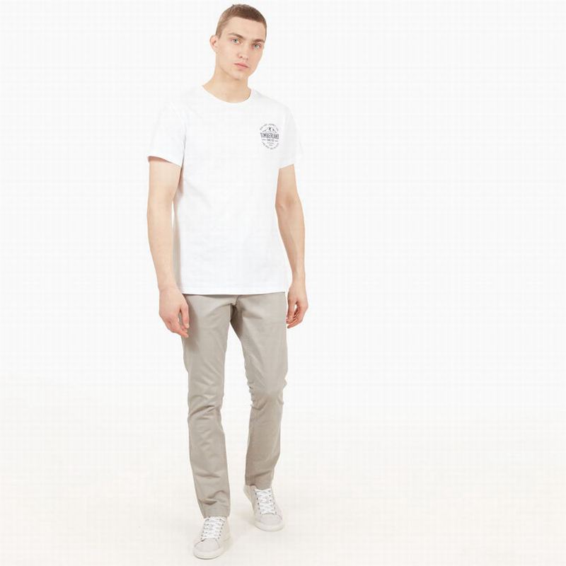 Timberland Sargent Lake Twill Chino Hlače Sive | 49204080