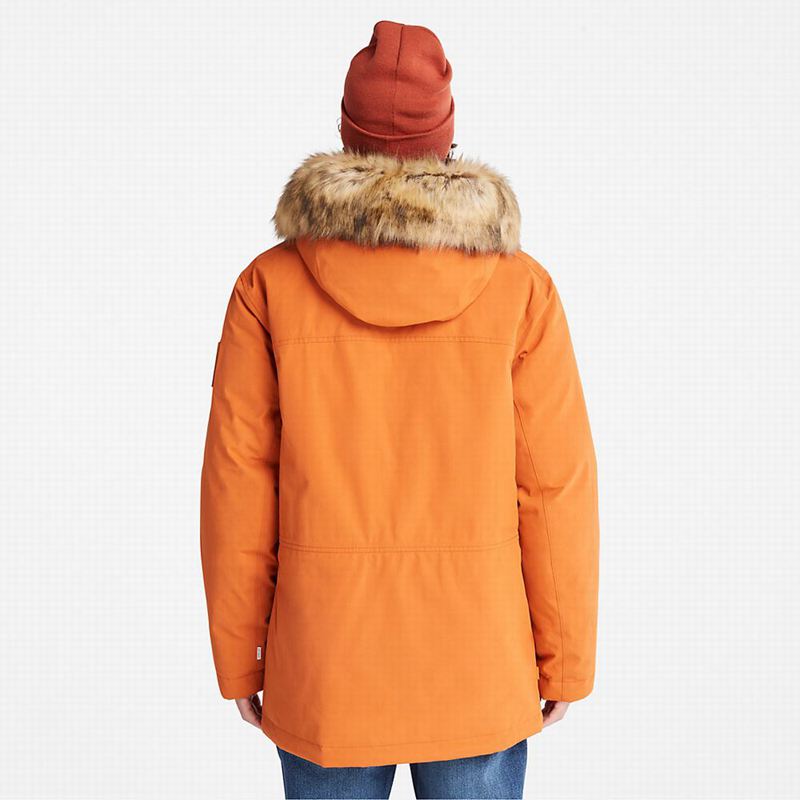 Timberland Scar Ridge DryVent Parka Narančaste | 62033864