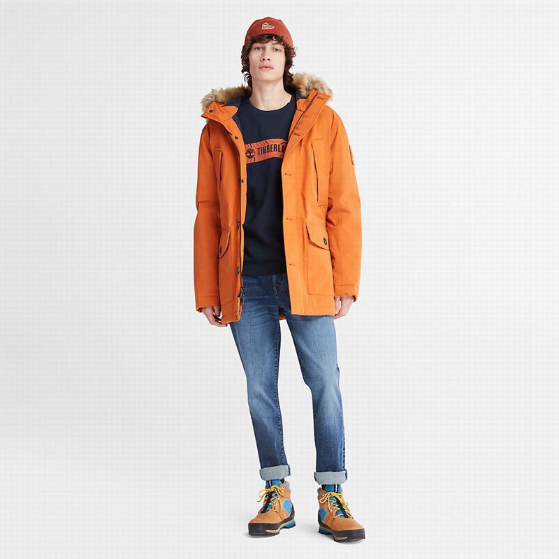Timberland Scar Ridge DryVent Parka Narančaste | 62033864