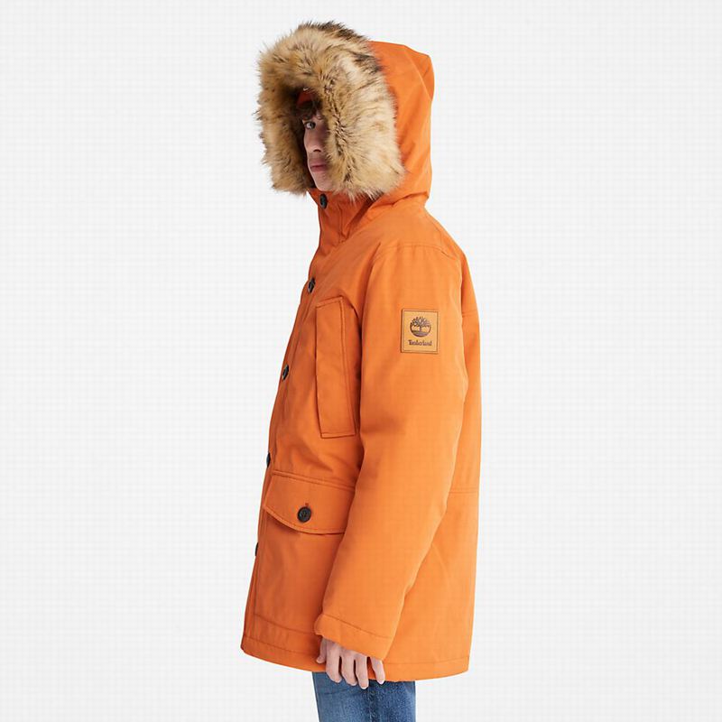 Timberland Scar Ridge DryVent Parka Narančaste | 62033864
