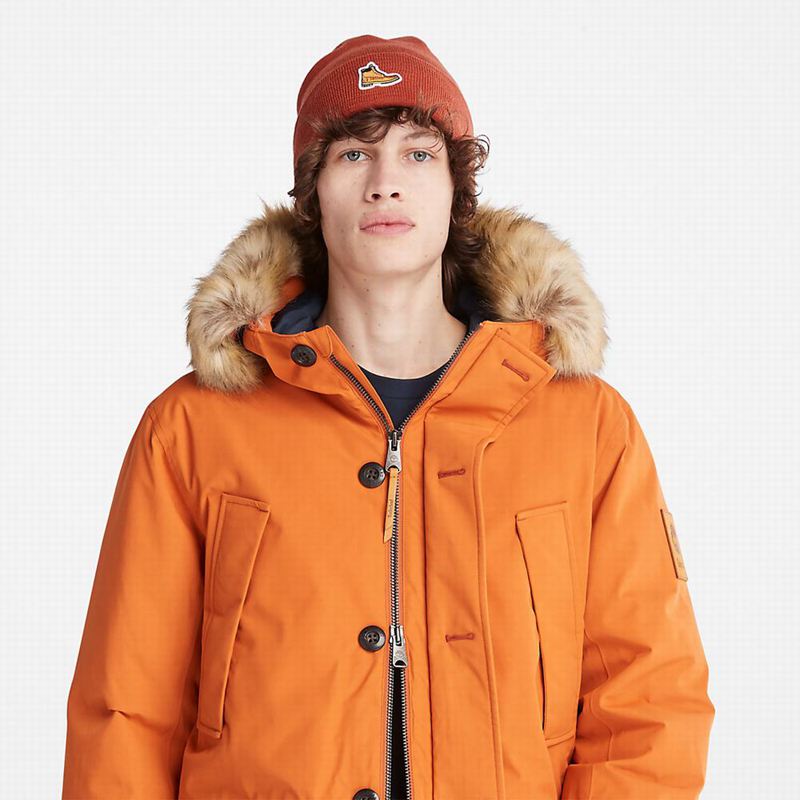 Timberland Scar Ridge DryVent Parka Narančaste | 62033864