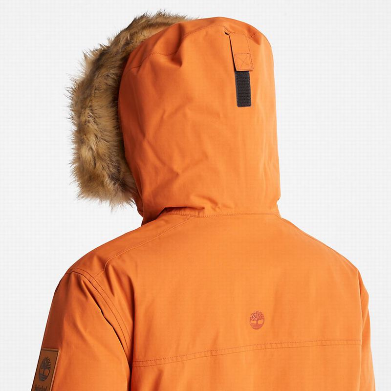 Timberland Scar Ridge DryVent Parka Narančaste | 62033864