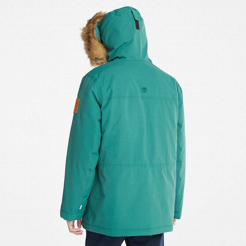 Timberland Scar Ridge DryVent Parka Tirkizne | 26511624