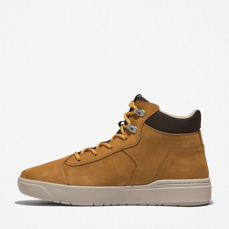 Timberland Seneca Bay Chukka Čizme Smeđe | 68146560
