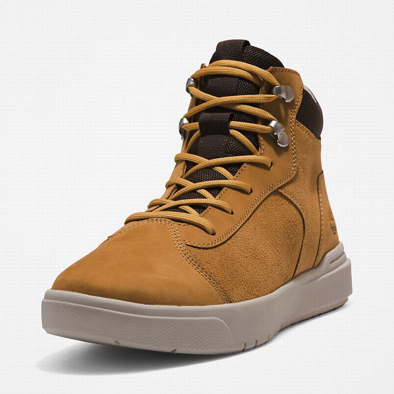Timberland Seneca Bay Chukka Čizme Smeđe | 68146560