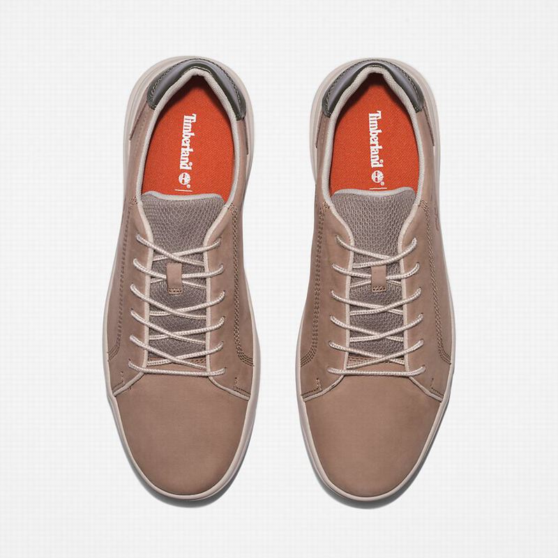 Timberland Seneca Bay Koža Tenisice Bež | 54978139