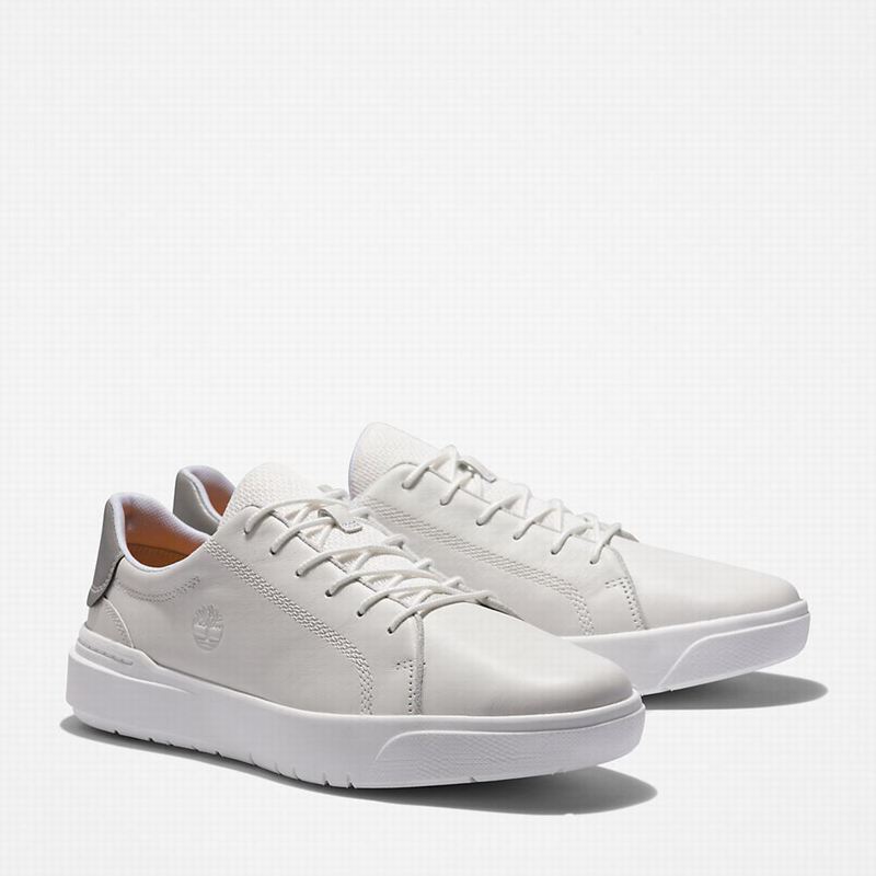 Timberland Seneca Bay Koža Tenisice Bijele | 6892312