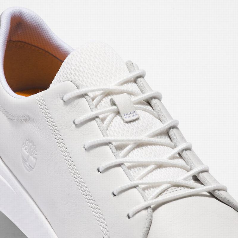 Timberland Seneca Bay Koža Tenisice Bijele | 6892312
