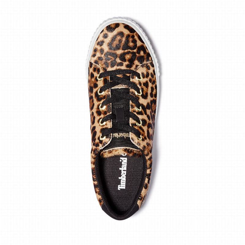 Timberland Skyla Bay Tenisice Smeđe | 66675371