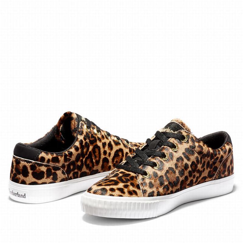 Timberland Skyla Bay Tenisice Smeđe | 66675371