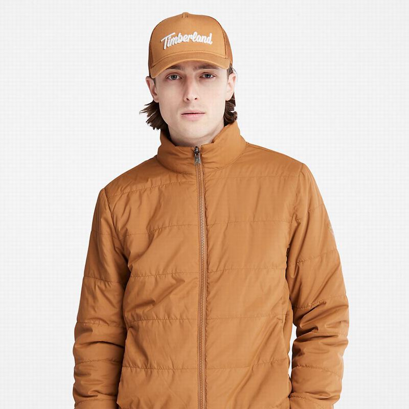 Timberland Snowdon Peak 3-in-1 DryVent Parka Smeđe | 99583258