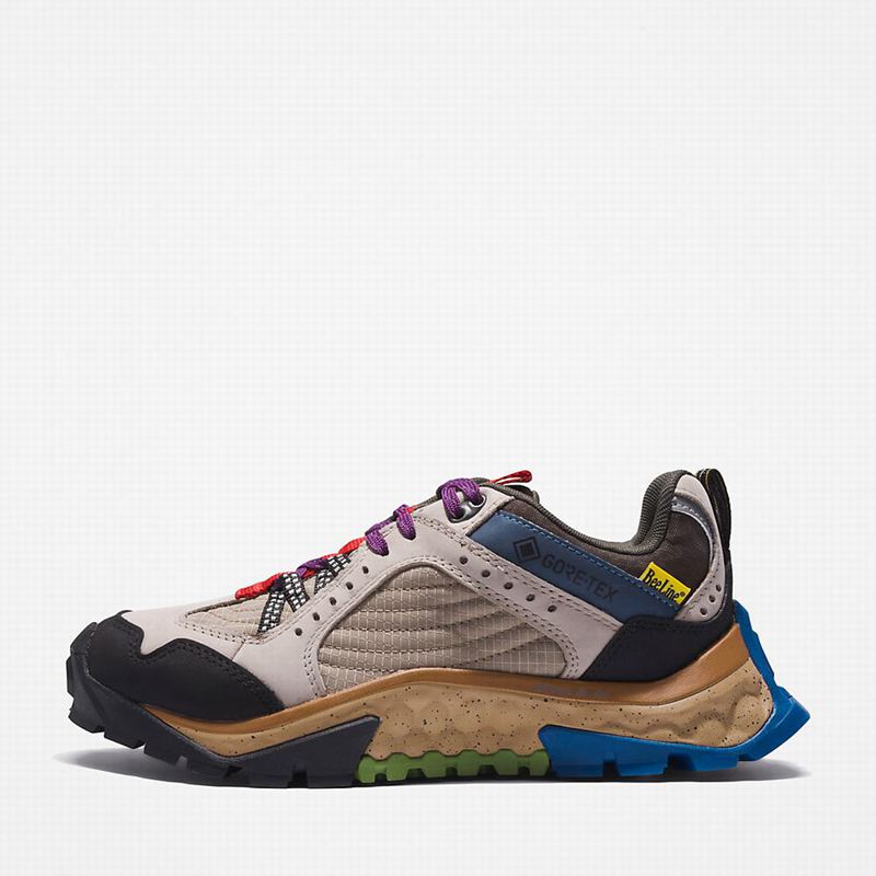 Timberland Solar Ridge Cipele Za Planinarenje Bež | 32053745