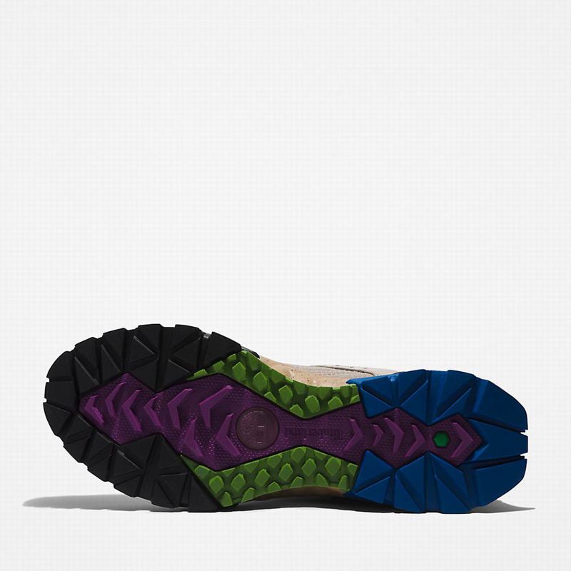 Timberland Solar Ridge Cipele Za Planinarenje Bež | 42892142