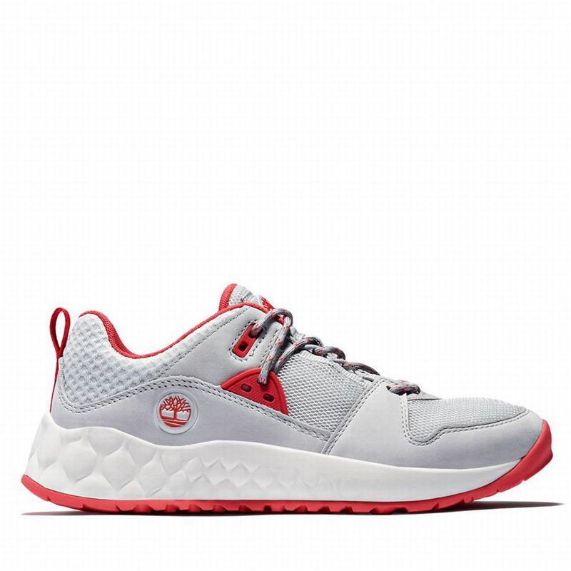 Timberland Solar Wave Cipele Za Planinarenje Sive | 82515335