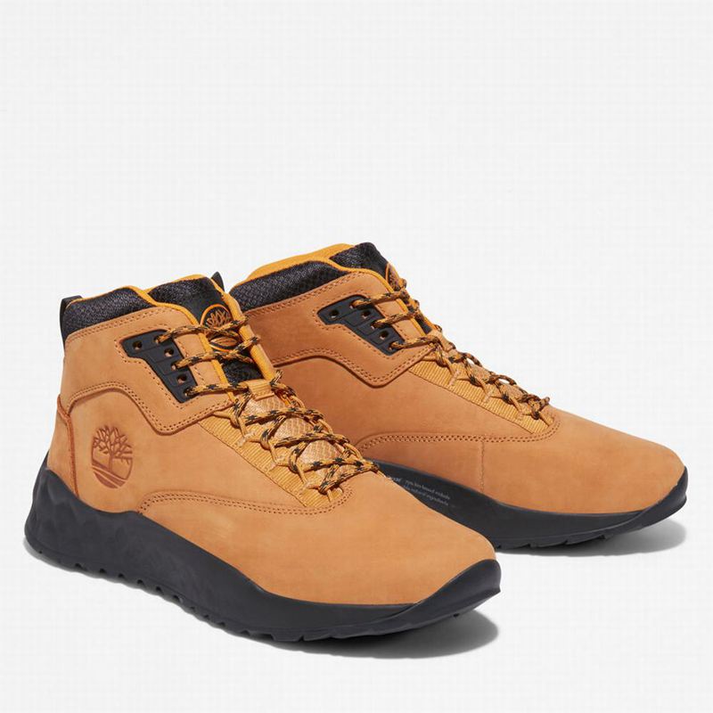Timberland Solar Wave GreenStride Chukka Čizme Žute | 98091053