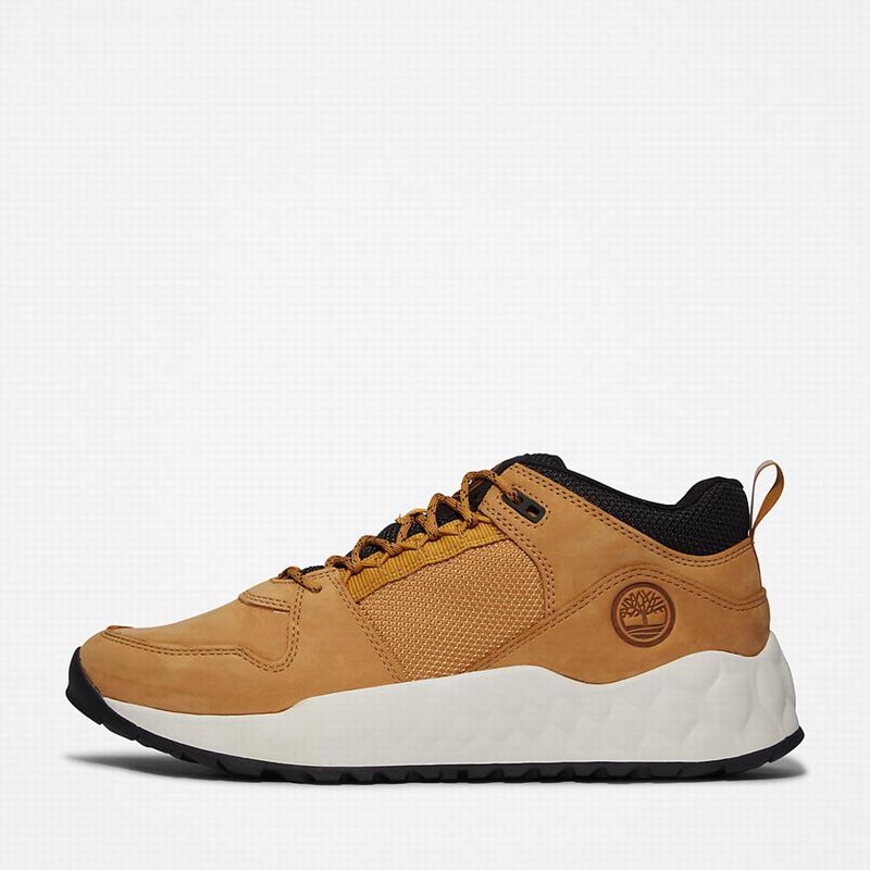Timberland Solar Wave GreenStride Tenisice Žute | 66470422