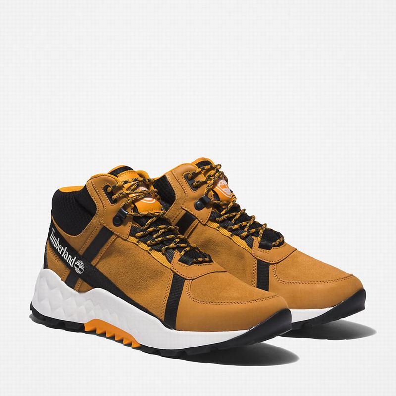Timberland Solar Wave LT Planinarske Cipele Smeđe | 12745641