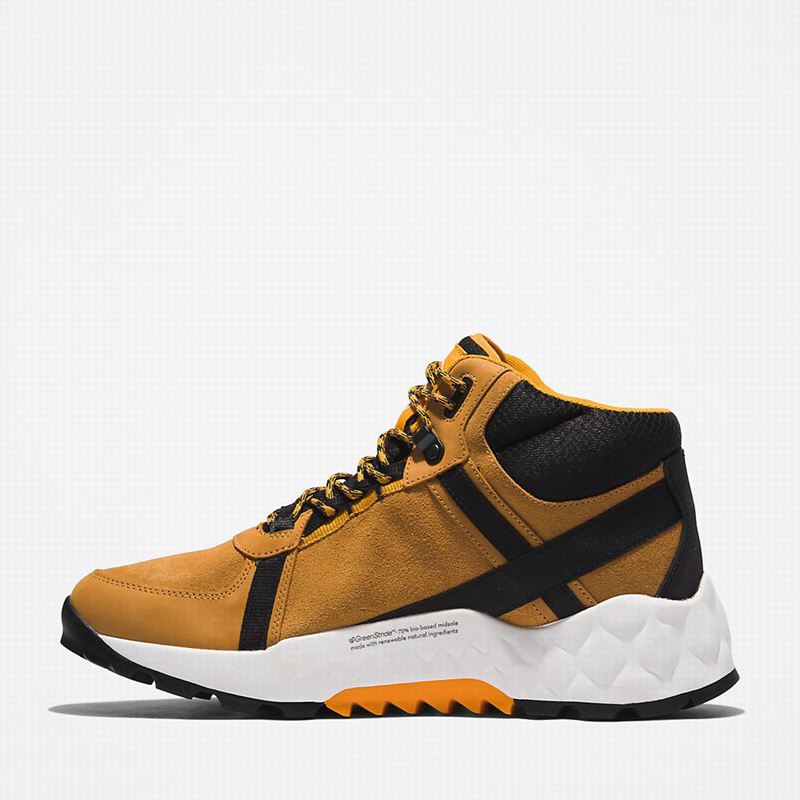 Timberland Solar Wave LT Planinarske Cipele Smeđe | 12745641