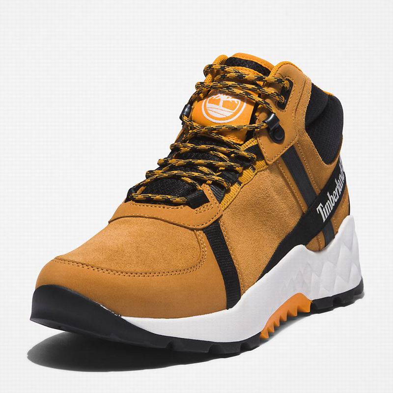 Timberland Solar Wave LT Planinarske Cipele Smeđe | 12745641