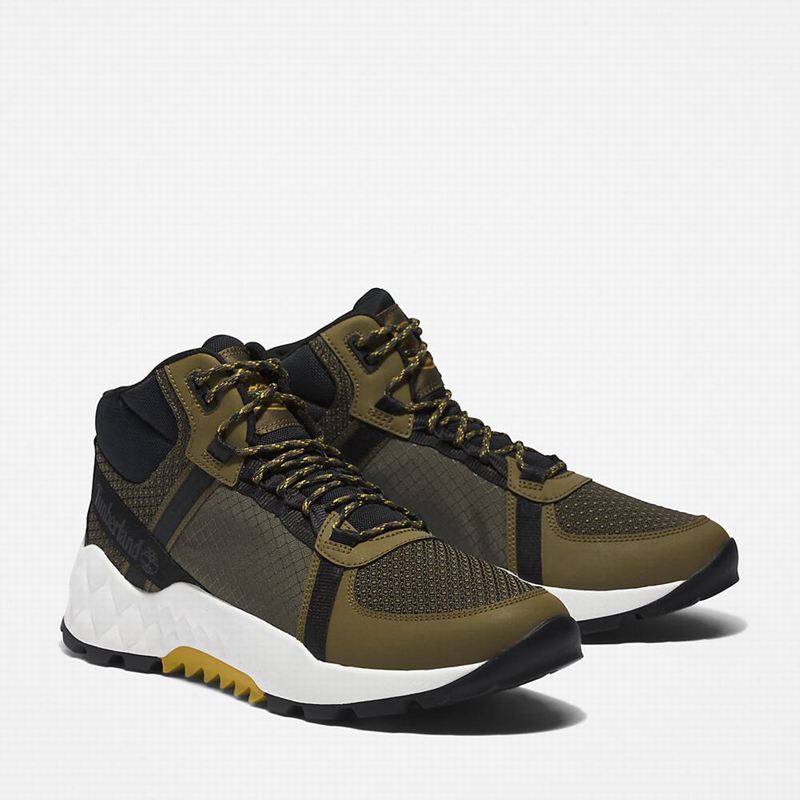 Timberland Solar Wave LT Planinarske Cipele Maslinasto Zelene | 77887315