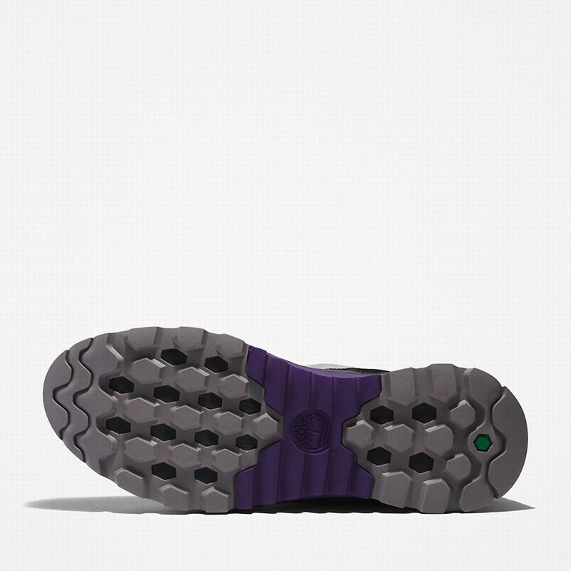 Timberland Solar Wave LT Planinarske Cipele Bež | 92595247