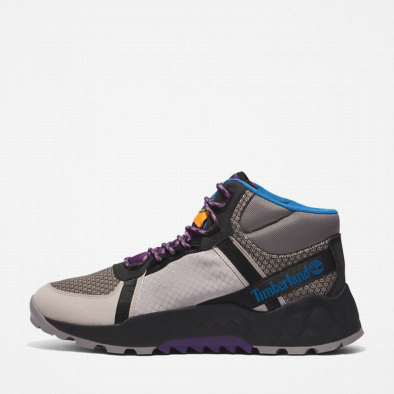 Timberland Solar Wave LT Planinarske Cipele Bež | 92595247