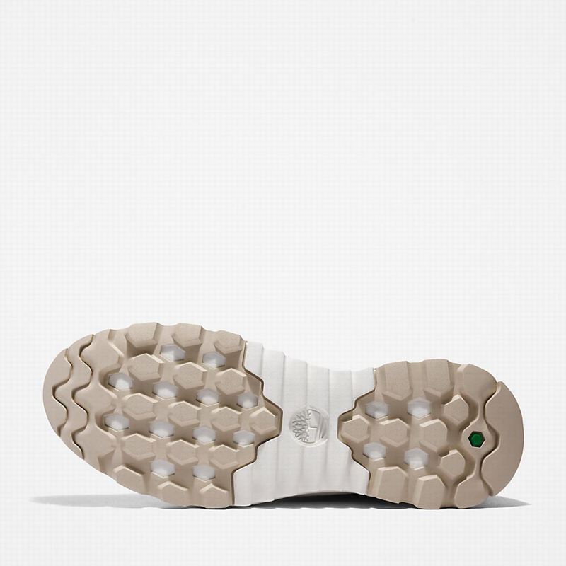 Timberland Solar Wave LT Tenisice Bež | 84456809