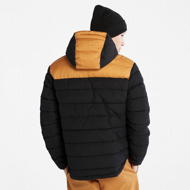 Timberland South Twin Jakne Žute | 40834053