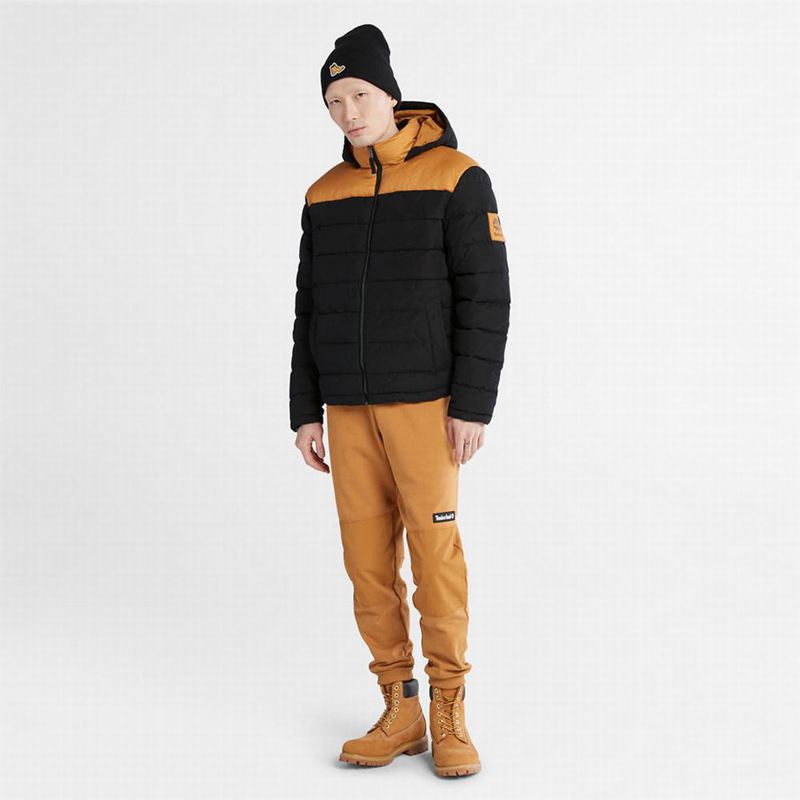 Timberland South Twin Jakne Žute | 40834053