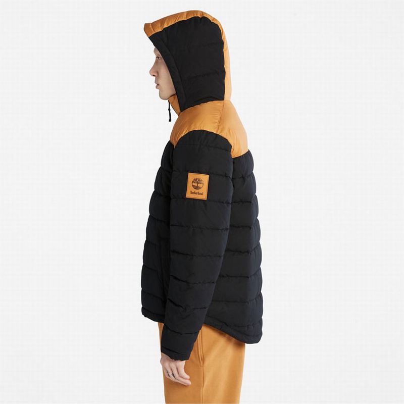 Timberland South Twin Jakne Žute | 40834053