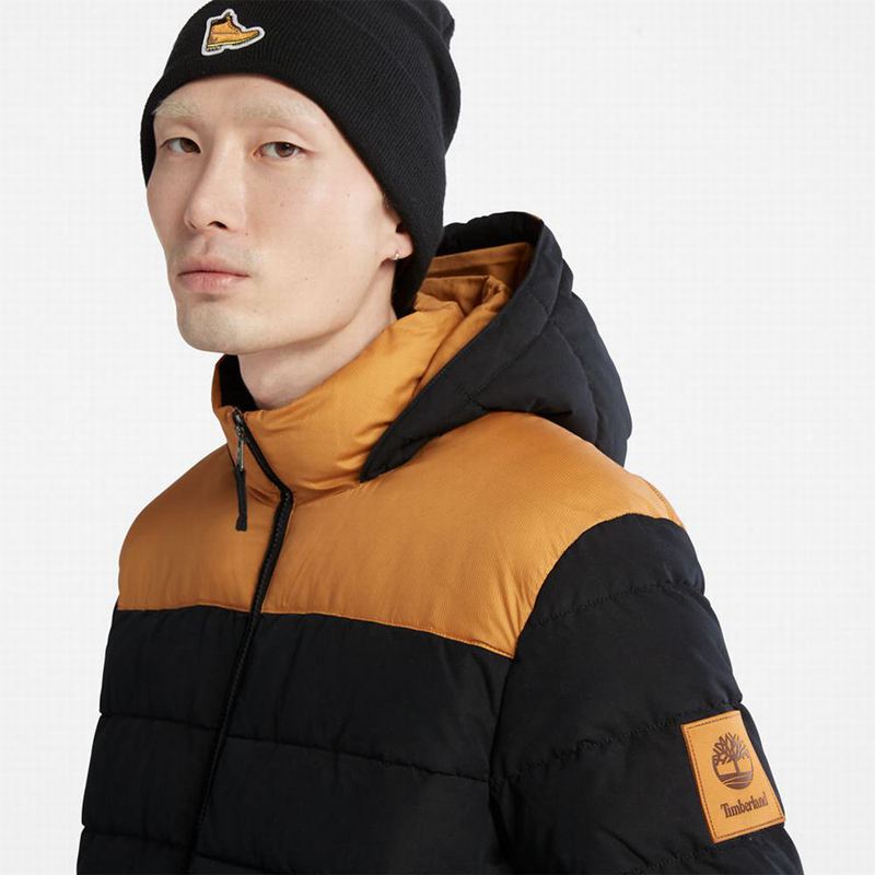 Timberland South Twin Jakne Žute | 40834053