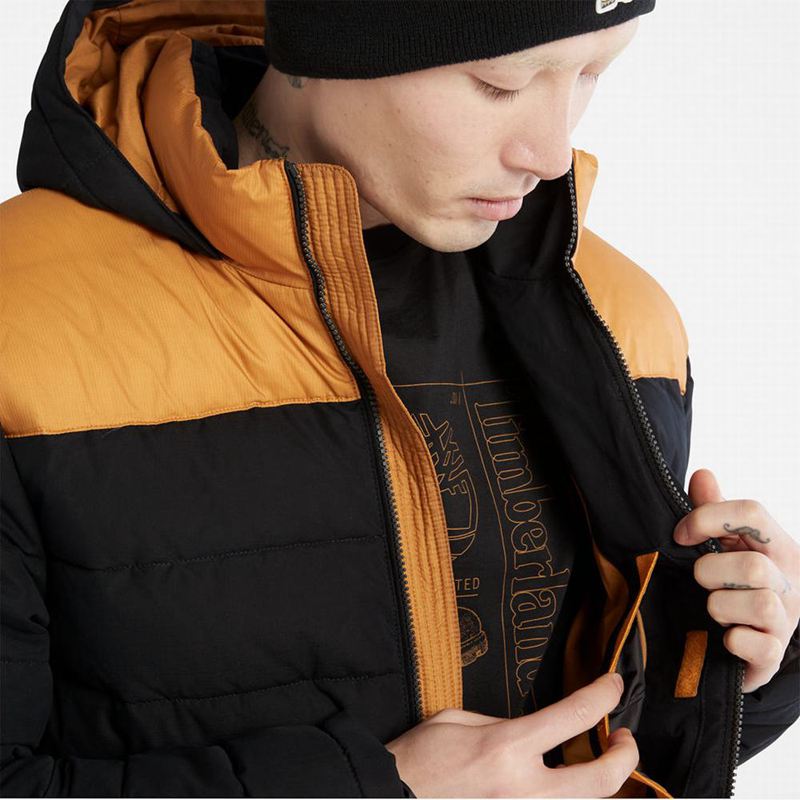 Timberland South Twin Jakne Žute | 40834053