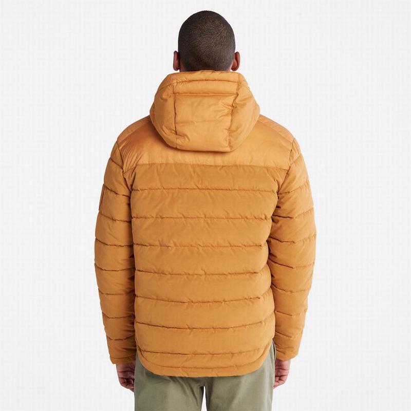Timberland South Twin Jakne Žute | 47551027