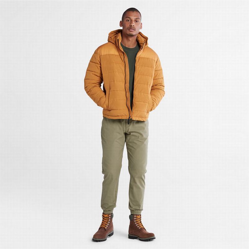 Timberland South Twin Jakne Žute | 47551027