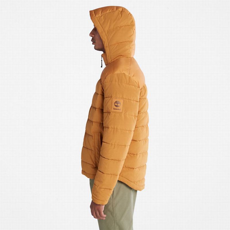 Timberland South Twin Jakne Žute | 47551027