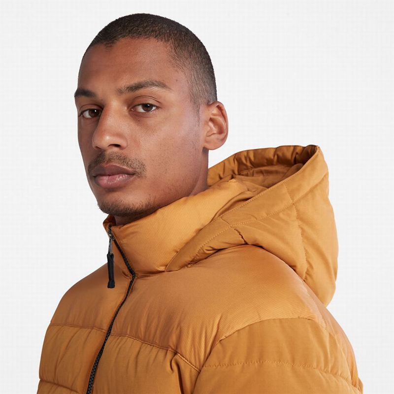 Timberland South Twin Jakne Žute | 47551027