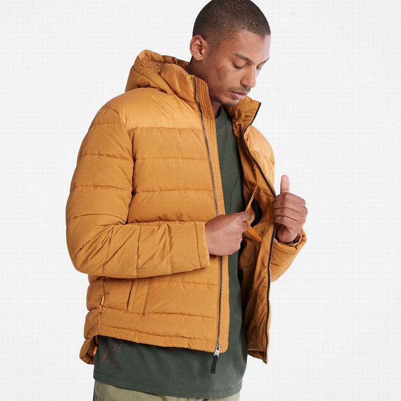 Timberland South Twin Jakne Žute | 47551027